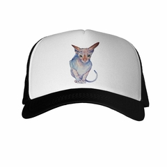 Gorra Gato Sphynx Dibujo Pintura Art - comprar online