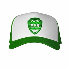 Gorra Escudo Paw Patrol Verde - TiendaCubik