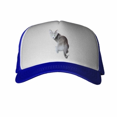 Gorra Gato Azul Ruso Atento Curioso