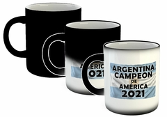 Taza Bandera Argentina Campeon De America M2 en internet