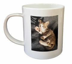 Taza Gato Europeo Bebe Tomando Sol - comprar online