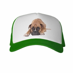 Gorra Perro Boxer Descansando - TiendaCubik