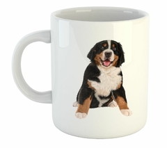 Taza Boyero De Berna Sentado Sonriendo