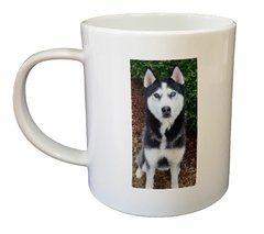 Taza Husky Siberiano Sentado - comprar online