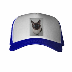 Gorra Gato Siames Sentado Mirando Fijo