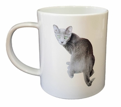 Imagen de Taza Gato Azul Ruso Atento Curioso