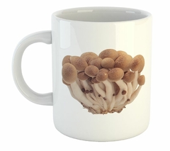 Taza Morchella Esculenta Mushroons Hongo