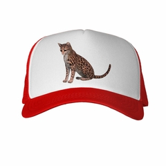 Gorra Gato De Bengala Art en internet