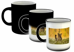 Taza Oso Espalda Foto Flores Paisaje en internet