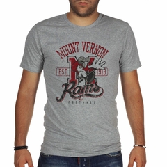 Remera Mount Vernon Rams Team M2 - comprar online