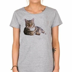 Remera Gato Europeo Descansando - TiendaCubik