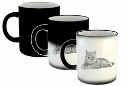 Taza Gato Persa Acostado Dibujo en internet