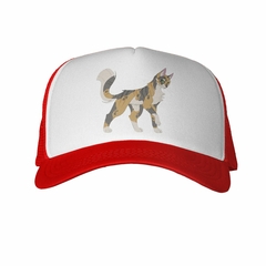 Gorra Gato Malo Bad Cat en internet