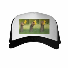 Gorra Ardilla Flor Amarilla 3 Poses - comprar online