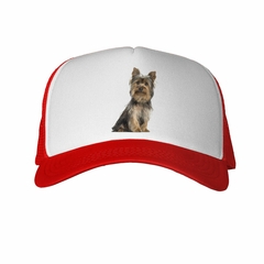 Gorra Perro Yorkshire Sentado en internet