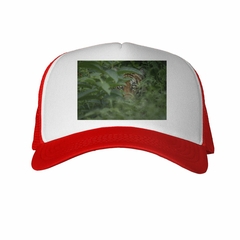 Gorra Tigre Selva Mirada Foto Natural en internet