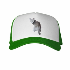 Gorra Gato Azul Ruso Atento Curioso - TiendaCubik