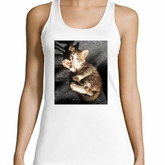 Musculosa Deportiva Gato Europeo Bebe Tomando Sol