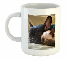 Taza Gato Siames Y Bulldog Durmiendo