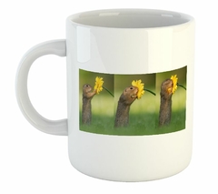 Taza Ardilla Flor Amarilla 3 Poses