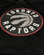 HOODIE TORONTO RAPTORS ICON EDITION 21/22 CON DETALLE - tienda online