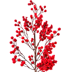 Galho Berry vermelho 50cm EN1349
