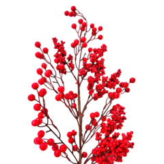 Galho Berry vermelho 50cm EN1349 - comprar online