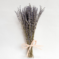 Lavanda desidratada - comprar online