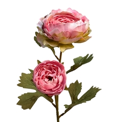 Ranunculus Envelhecido Rosa MX796-3