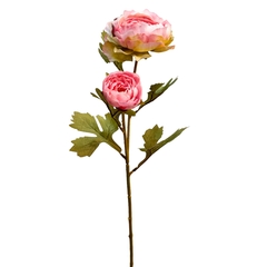 Ranunculus Envelhecido Rosa MX796-3 na internet
