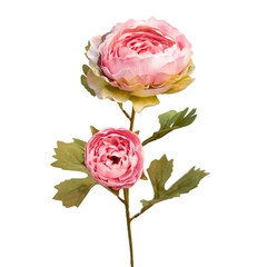 Ranunculus Envelhecido Rosa MX796-3 - comprar online