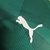 Camisa Palmeiras Home 23/24 - Masculino Jogador - Verde - Lançamento - loja online