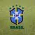Camisa Seleção Brasileira I 2024/2025 Versão Jogador - Amarela - Hexa Sports - Artigos Esportivos