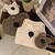 Chaleco Little Bear con Bolso - comprar online