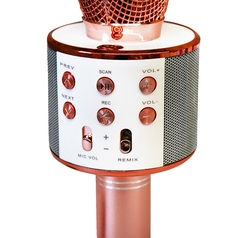 Microfono Karaoke 10493