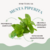 Óleo de Menta Piperita - 100% vegetal, natural e vegano - comprar online