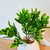 Ramo de planta artificial Buxus 28 cm. - comprar online