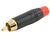 Plug rca macho vermelho pgrc0022 Storm na internet