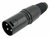 Plug XLR macho pgcn0013 Storm