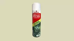 BRILLO FOLIAR Abrillantador en Aerosol Mamboretá - comprar online