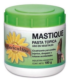 MASTIQUE PASTA 180 GR