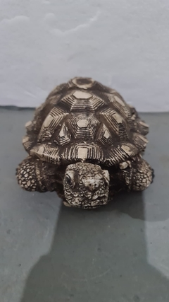 TORTUGA (cola metida) 14X21X16