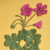 Taller de Papercut ～ Edición Floral