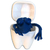 Dentão Baú Odontológico com Bactéria