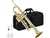 Trompete Sib/Bb Laqueado Ravy Beny RB-0103S - comprar online
