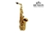 Saxofone Alto Roy Benson AS-302 Dourado -GERMANY