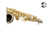 Saxofone alto niquelado com chave de ouro RB-0250N Ravi Beny