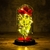 Flor de Folha de Ouro 24K Encantada com LED Galaxy Rose Eterno 24K com Luzes de Cordas