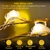 Luz Led Solar Coloriodas à Prova D' Água Fio de Cobre Luzes Fadas para Varanda - comprar online