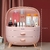 Caixa de armazenamento de cosméticos transparente Gaveta de maquiagem Organizadora na internet